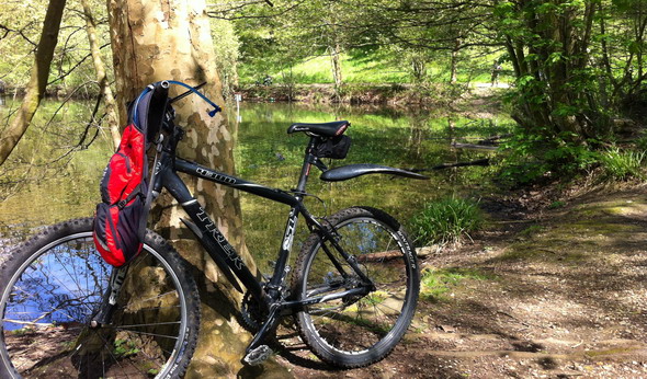 trek4300 bois de clamart trek4300 bois de clamart Rencuentro con el bosque después de una larga ausencia